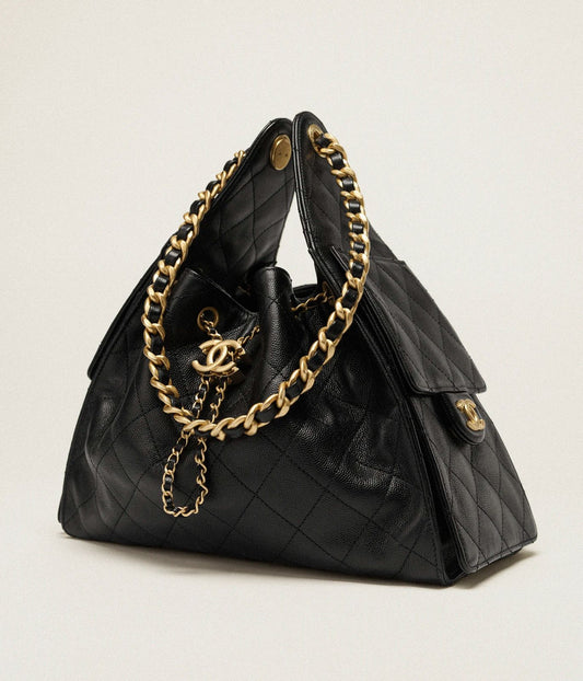 The Chanel 25 Small handbag (hobo style)